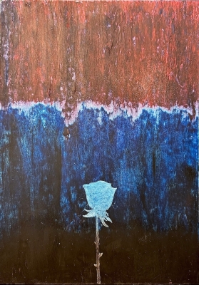 4:Alberto Amar memento mori I rose