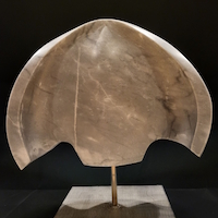 Reinier Gerrits